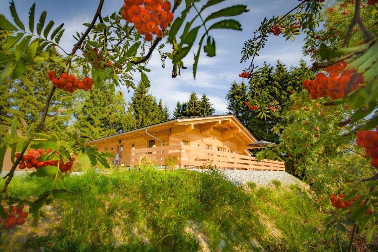 Das Wistlberg Wohlfühlchalet Mauth Exterior foto